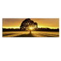 Wallity Lienzo Decorativo Iluminado con LED 30 x 90 cm Multicolor